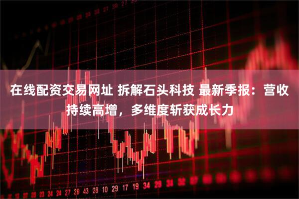 在线配资交易网址 拆解石头科技 最新季报：营收持续高增，多维度斩获成长力