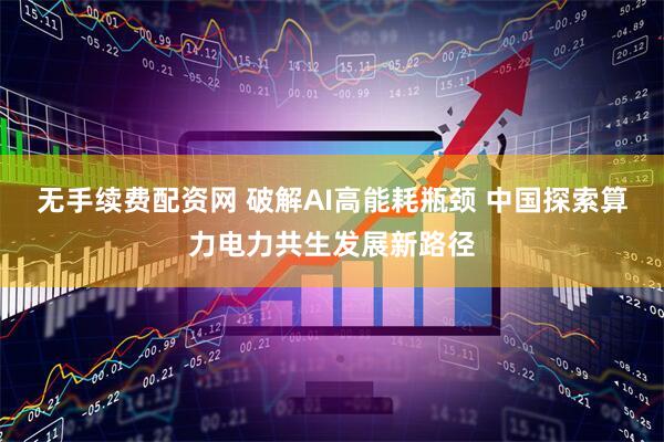 无手续费配资网 破解AI高能耗瓶颈 中国探索算力电力共生发展新路径