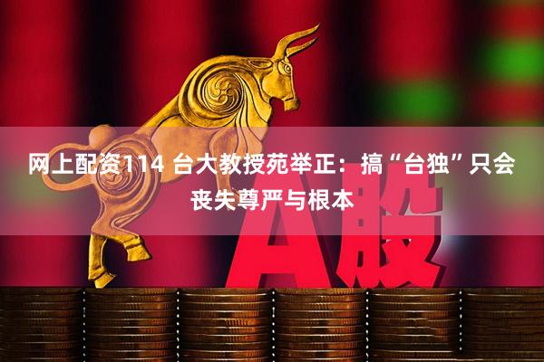 网上配资114 台大教授苑举正：搞“台独”只会丧失尊严与根本